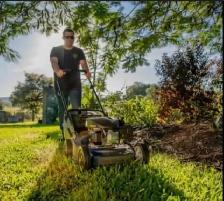 grass cutting /weed removal - Photo 7