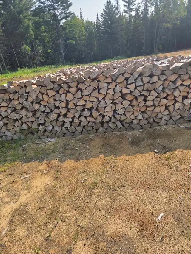 Dry firewood