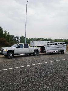 Custom Livestock Hauling