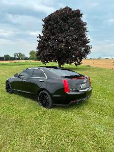 2013 Cadillac ATS - Photo 4