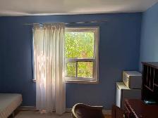 LARGE SPACIOUS ROOM IN CENTRAL LOCATION UTILITIES INCLUDED - Photo 4