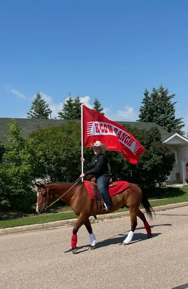 14 year Kids Horse (Gelding)