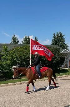 14 year Kids Horse (Gelding)