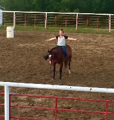 14 year Kids Horse (Gelding) - Photo 2