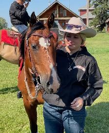 14 year Kids Horse (Gelding) - Photo 4