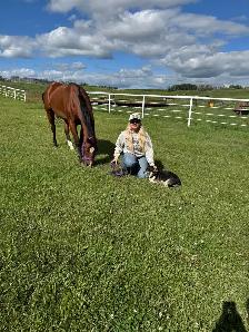 14 year Kids Horse (Gelding) - Photo 5