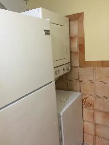 North York Basement Apartment at Yonge & Steeles. - Photo 6
