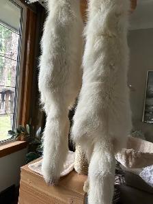 Arctic White Fox Pelts - Photo 2