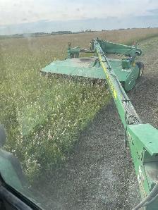 hay 2026 alfalfa broke mix $80 - Photo 3