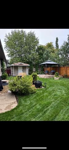 Beautiful basement suite available
