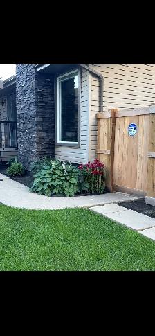Beautiful basement suite available - Photo 6