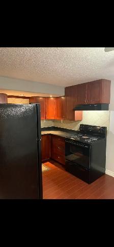 Beautiful basement suite available - Photo 9