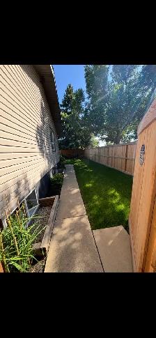 Beautiful basement suite available - Photo 10