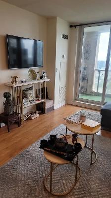 Spacious Private Room (Den) For Rent — Near Square One Mall - Photo 7