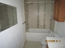 2 maisons a louer .Vous chercher la tranquillité petite foret de - Photo 5