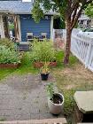4 Bed, 3 Bath Townhouse For Rent - Garrison Crossing - Photo 5