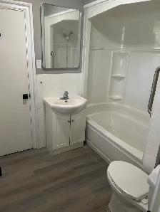 Spacious 3-Bedroom 3 Full Baths Den Home for Rent - Joseph Howe - Photo 4