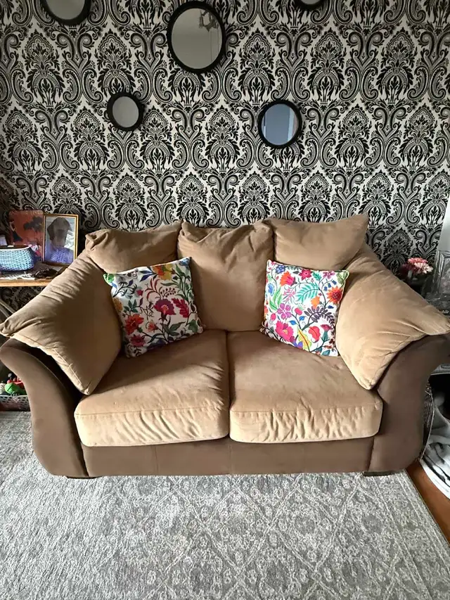 Loveseat for sale -$100