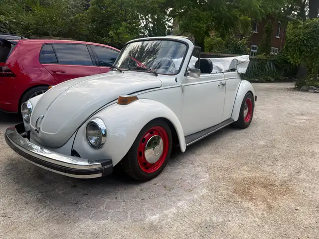 VW Beetle