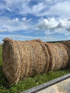 hay for sale - Photo 2