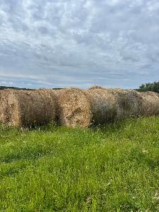 hay for sale - Photo 4
