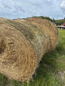 hay for sale - Photo 5