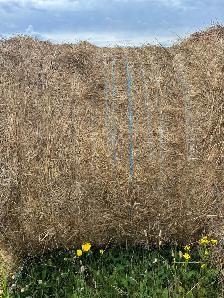 hay for sale - Photo 7