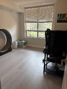 2 Bed/2 Bath Condo for Lease on Yonge and Sheppard, North York! - Photo 6