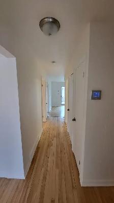 Appartement de 4 chambres et 1 salle de bain - Photo 7