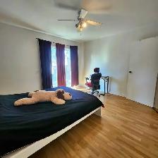 Appartement de 4 chambres et 1 salle de bain - Photo 20