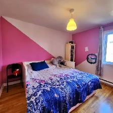 Appartement de 4 chambres et 1 salle de bain - Photo 28