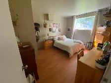 Appartement 3 1/2 a louer