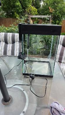 10 gallon aquarium