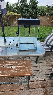 10 gallon aquarium - Photo 3