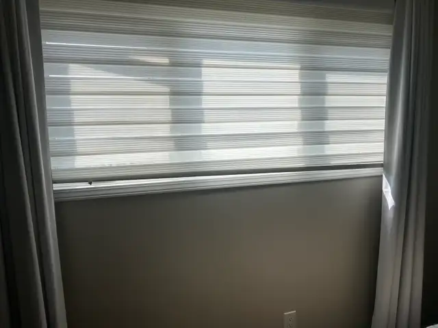white zebra blinds