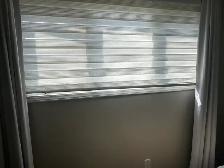 white zebra blinds
