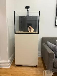Red Sea Reefer 200 G2 Reef Aquarium