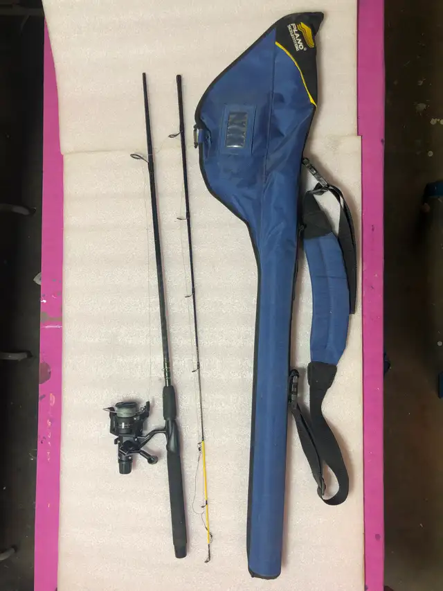 Fishing rod and case