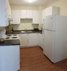 3 Bedroom Apartment – Adelaide St. N. - Photo 5