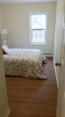 3 Bedroom Apartment – Adelaide St. N. - Photo 12