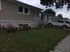 SINGLE BEDROOM BASEMENT AVAILABLE IN ETOBICOKE M9W2Y3 1ST SE - Photo 2