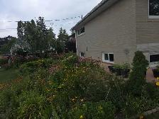 SINGLE BEDROOM BASEMENT AVAILABLE IN ETOBICOKE M9W2Y3 1ST SE - Photo 4