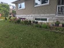 SINGLE BEDROOM BASEMENT AVAILABLE IN ETOBICOKE M9W2Y3 1ST SE - Photo 5