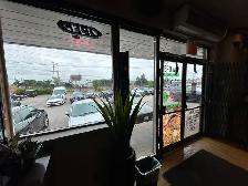 Window Film