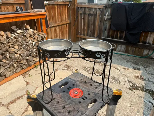 dog feeding station