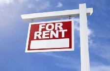 Room for rent (Finch and Islington)