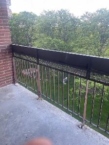 3 Beds 1 Bath - Apartment - Photo 3