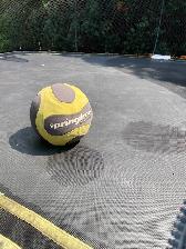 Springfree Large Oval 8' x 13'Trampoline,  Hoop, Ladder & Etc. - Photo 6