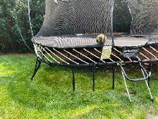 Springfree Large Oval 8' x 13'Trampoline,  Hoop, Ladder & Etc. - Photo 7
