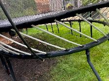 Springfree Large Oval 8' x 13'Trampoline,  Hoop, Ladder & Etc. - Photo 8
